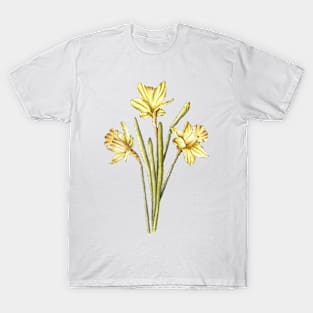 Spring Daffodils T-Shirt